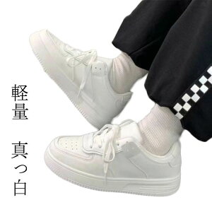 y Xj[J[ X|[c ʊw ^ ^ y L Vv zCg 傫TCY  V[Y JWA C WjA jp j̎q XN[V[Y fB[X wZ  