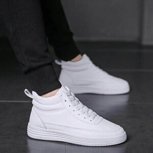 V[NbgV[Y Cq[V[Y Y V[Nbg V[Nbg Cq[Xj[J[ 8cm 6cm Xj[J[  gȂXj[J[  ubN [XAbv fB[X