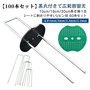 y100{Zbgzەt Ίەt hV[g h[ 15cm UsY h[ Ίەt s 100{ Œs hV[g V[g Œp Œ lH s s 10cm y100{