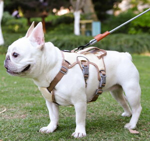  n[lX ^ ^ Č 킢  Ȃ ɂ S̏Ȃ EFAn[lX U Oo ʉ@ p p nht S M L