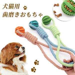   lC  {[ [v XgX v ϋv   Ђς ߋ ^ ^ ^ ^s ybgpi ʂ [vgC 