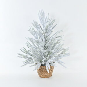 DreamPet V PE [ 60cm A  ~j NX}Xc[ NX}X i A c[  IuWF