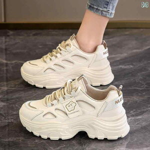 _bhXj[J[ fB[X V[Y {[\[  t w X|[c Xg[g J[L x[W