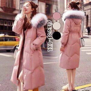 ꂢ _EWPbg g _ER[g fB[X AE^[ t[ht OR[g JWA ʋ ubN 傫TCY  ~ ItzCg IV _E sN 