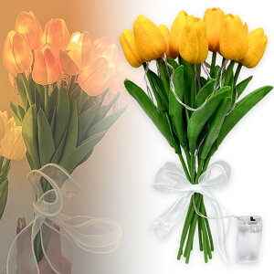 `[bv t[Cg 2FIׂ  LED CeA Cg ԑ  t[ [Cg u[P u[PCg uU[ht[