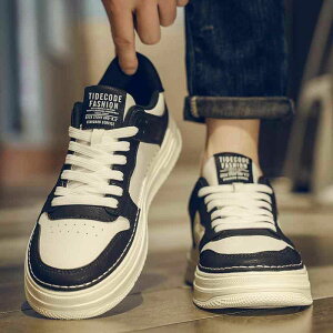 Vv   am Xj[J[  e t@bV V[Y t Y ʋC X|[c H~  C j