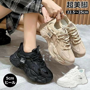 ʋC ؍ X|[c ^C Xj[J[ ʋ ₷ g JWA t@bV  Ȃ Xj[J[ ~̌C H~ ʊw C r V[Y N r gAbv Ռz