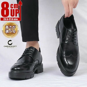 Y C vC gAbv A Cq[V[Y  rWlXV[Y N[g  ₷ ItBX d rC y ʋ Y C amC q[AbvV[Y 4/7/8 