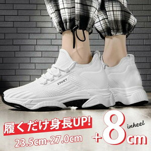 Xj[J[ ʋ ɂ _ H q[ V[NbgC Xj[J[  8 zCg   t V[NbgV[Y V[NbgXj[J[ Vv ɂ ʋC t