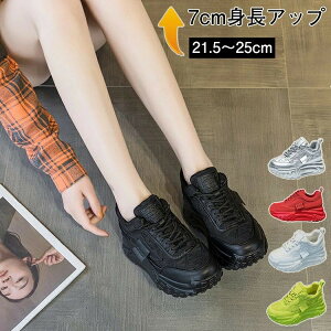 [XAbv JWA Xj[J[   ₷ C r jp Ȃ fB[X Xj[J[ a H~  7q[ v ϖ 傫TCY ₷ 2C\