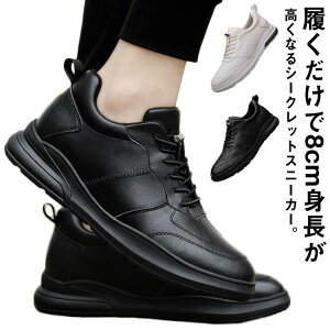 V[NbgV[Y 23.5-26.5  C [Jbg ̓ g[jO V[Y gAbv ₷ ɂ Cq[ Xj[J[ 2.5 rWlX Mtg wȂ JWAC 