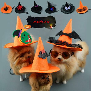 DreamPet 2024 V nEB ybg Xq ϐgObY nEB[ pCbg Z[[} Lve N C ϑ U o Cxg ȒP Halloween ڂ ߑ  RX`[