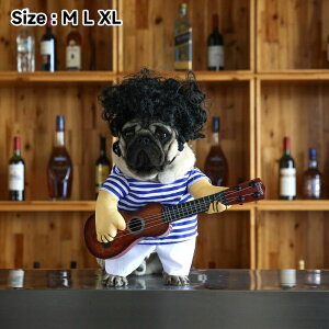 DreamPet nEB RXv  M^[ ϐg L RXv M^[ RXv  Halloween