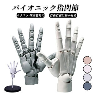 1/1nhf  L R  ͌^ E lC`bvt ȂX^ht Aj fbTpf̔p tBMA XLJ[ f nh 1/1nhf CXg fbT