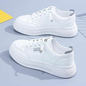 X|[c V[Y ̎q  C H~ JWA w tbg fB[X ^C EhgD