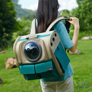 ybg FD bN ybgp obO p obO e Lp LoX bN Lp obO