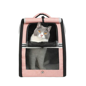 Lp obO bN Oo gѕ֗ ybgp obO ~p h Lp bN ʋC ܂肽 Lp P[W Lp obO ybgpi