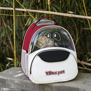 LpOo|[^uʋC eʃbN yʐ܂肽݉\ IbNXtH[hn ybgOoobO