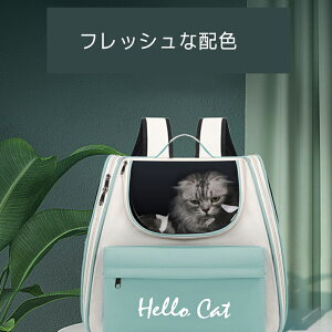 V샊bN LpOoobO |[^u@\ GACL[P[X nhL[ʋCLpobO e LP[W