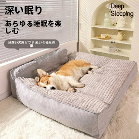 【新品発売期間最大12％割引】オールシーズン対応 ペットベッド キャンディーカラー 四角型 犬用ベッド テディ ポメラニアン 犬マット 猫用ベッド ペットベッド