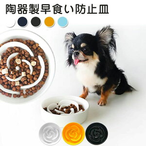 퐻Hh~M [Y Hh~ M   L H ͂M GTM ybg{E t[h{E H ݍ f߂ _CGbg 얞 Jt 퐻 p Lp ybgp 