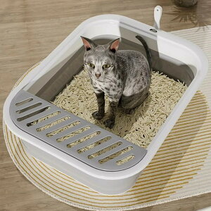 LgC ܂肽 |[^ugCpgC LpgC{ ^ I[v^Cv Osp  ȒP s o юUh~ n[tJo[ jƂgC O