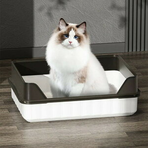 LgC n[tJo[ LpgC{ ^ ChTCY LbggC Vv |ȒP RpNg I[v^Cv P[WpgC ȒP R hL LюUhL e 