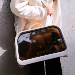 ʋC a@ ʉ@ s M ybgpi AEghAybgL[P[X o lR ˂ Ck ^ L O[  g[gobO  ybgL[ ybgL[obO L[o