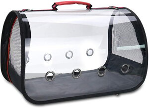 e bV p hCu a@ ʉ@ h t  ^ ubN ybgpi p Lp L[obO ybgobO obN ybgL[ ܂ ybgL[o