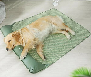 y   \t@[ ybgpxbh xbh  xbh L ^ ^  ~ }bg ې 􂦂 ybg\t@[ ʔN ybgNbV  O[ L ybgxbh