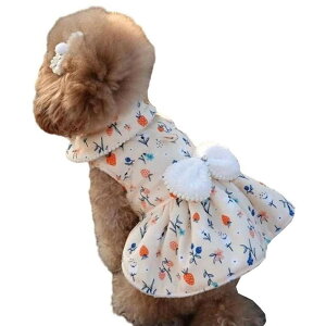 ΍ o U LOBe  lC t@bV ۉ g   h L m ^ ^ {A hbOEFA Pl H~ s[X  hX 킢 y