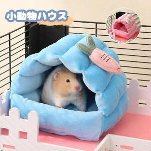 nX^[ nEX  Q  nbN ~ ۉh X   g xbh ӂӂ  nlY~ bg IE nEX LbgnEX ybgxbh gxe 