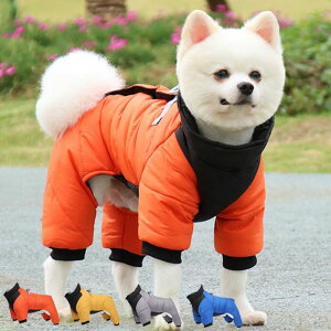 o Hp ~p u[ ΍ ~  ybg  h ~ H U h IW O[   CG[