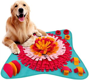    Lp Ck W mgC XgX mߋ koP}bg ^s T[N^Cv I` s H΍ m[Y[N}bg aaB}bg H