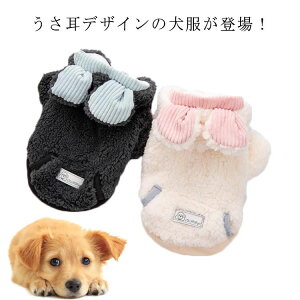 v[g K {A  ETM ` L H~ ^   L t[X p[J[ p[J[ hbOEFA ̕ e   _bNX t[ht ybg ^   L