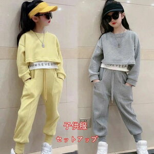 ؍qZbgAbvLbYq̎qqǂ㉺ZbgW[WLbYX+{gXpc̎qtHWjA2_Zbgp[J[Y{X|[cEFA^