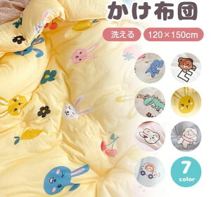 oYj q zc Ԃ OK  |GXe 120×150cm |zc  y ӂƂ ې Mtg LbY v[g 􂦂xr[ 