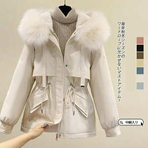 ȃR[g V[g h ȓ _EWPbg ~ t[ht AE^[ ӂ   ȃWPbg fB[X  _ER[g