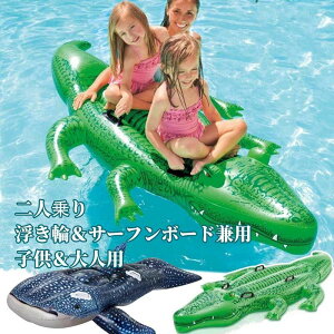 v[ Ct[^uNbV ~  V ysup{[h ܂ݎ SҌ 萫 q  r[` t[g CJWxGU C j T[tB K 