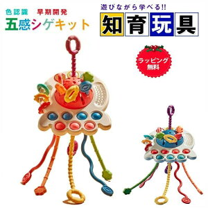 空飛ぶ円盤 1歳 幼児用知覚玩具 2歳 モンテッソーリ教育おもちゃ ひもおもちゃを引く 女の子 指先訓練 赤ちゃん 0歳 UFO 出産祝い 子供 6ヶ月 音の出るおもちゃ 引く クレーおもちゃ 男の子 プ