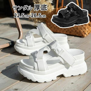  T_ JWA r[`T_ 22.5--26.5cm r fB[X ₷  Xbp ̎q AEghA y  Vv 傫TCY