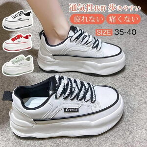  V[Y C r X|[cV[Y Ȃ fB[X ~ Xj[J[ ₷ r