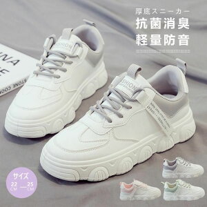 Xj[J[ fB[X   _bhV[Y C [Jbg [XAbv r ^C ؍  