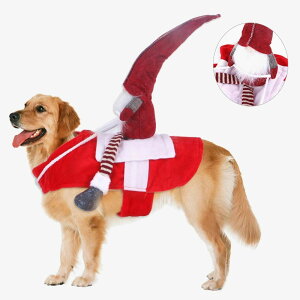p[eB[ ybgpi ϐgObY Be ʔ hbOEFA L[g  L  EȒP ւ  ybgpRXv Lnbg  T^N[X Xmas a NX}