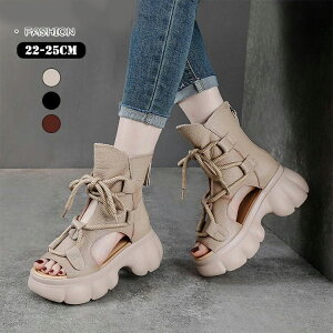 ₷ ʋ ANu[c {v ubN Wbp[  T}[u[c tH[} uE ʊw Mtg q[6cm v fB[X v[g u[cT_ fB[X p`O