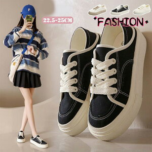 Ȃ q[3.5cm ʋ y fB[X  fB[X C tďH LoXV[Y Xj[J[ Xj[J[ Xj[J[ ₷ 2way JWA ₷ ؍ 