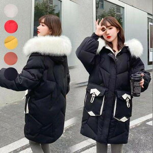  30 fB[X H~ h M~2XL 20 AE^[ 5F h ʊw y 40 ~ AEghA ȃ_EWPbg אg g ʋ 傫TCY ۉ t[ht O䒆ȃR[g _