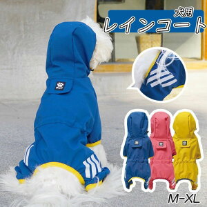 AEghA ĕ ̕ ̃Jbp J ~J AE^[  H h 3J[  ~J΍􁚁z ^ hbOEFA  yVi JH }WbNe[v |`  ^ C