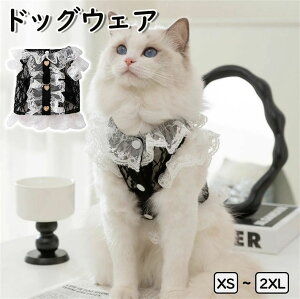 L~\[ t s[X ^N H hbOEFA ̕ hX ėp  [X s[X ybg s[X ~ XJ[g ĕ ttXJ[g m[X[u