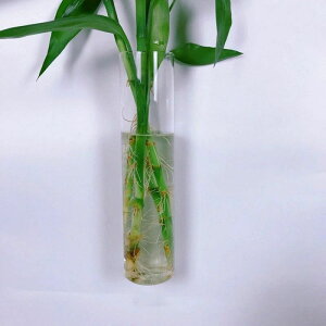  Ԃт NA AW _ hCt[ k͔| ǖ A Ǌ| ǂ  KXx[X  CeA t[x[X Ǌ|ԕr Ɏq 01Ԃт ԕr 킢